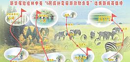 新華保險旅游線路圖圖片