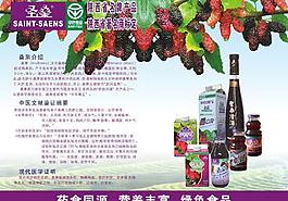 桑果廣告圖片