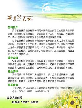 安華保險(xiǎn)宣傳單圖片