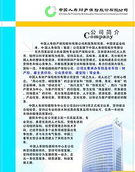 中國人壽dm單圖片