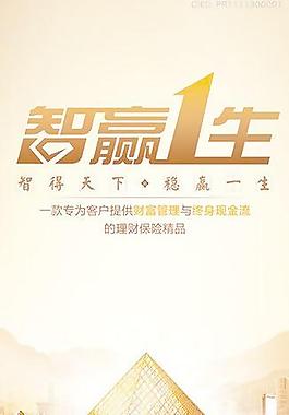生命人寿 智赢一生图片