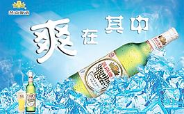 燕京啤酒圖片