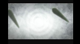 中國(guó)風(fēng)水墨