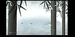 視頻素材
