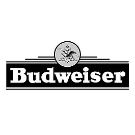 百威啤酒6