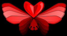 wingloveheart
