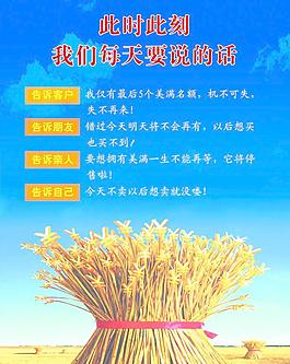 中國(guó)人壽圖片