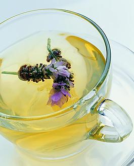 茶道圖片