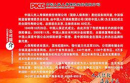 中国人寿公司简介图片