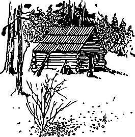 小屋的剪輯藝術