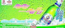 青島啤酒圖片