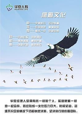 華夏人壽經理人文化 鷹雁文化圖片