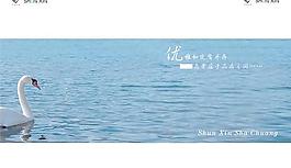 天鵝游弋水面封面設(shè)計PSD分