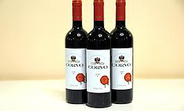 2008張裕美酒圖片