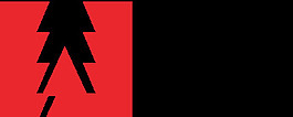 Adobe logo2