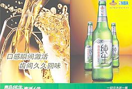 青島純生啤酒圖片
