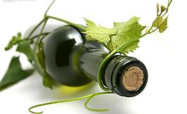 葡萄酒圖片