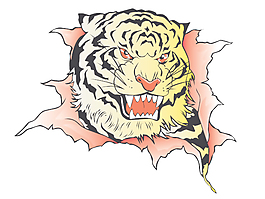 老虎圖像38矢量