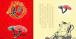 靈芝畫冊(cè)封面PSD分層模板