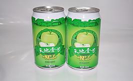 天地一號圖片