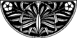 夾竹桃的設(shè)計(jì)藝術(shù)剪輯