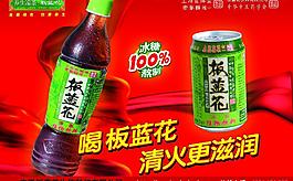 板藍(lán)花宣傳單圖片