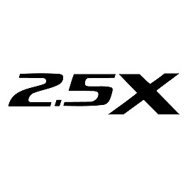 25個人