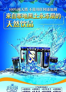 藍(lán)莓果汁宣傳海報(bào)圖片