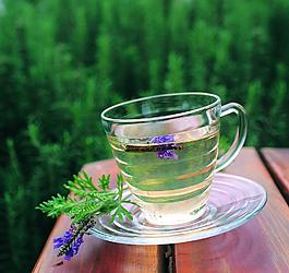 茶道圖片