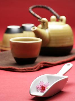 飲茶 泡茶 禪風茶趣圖片