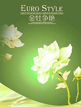 玫瑰圖片