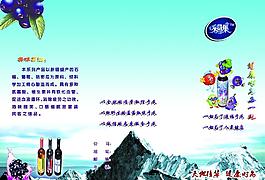 藍(lán)莓宣傳單圖片