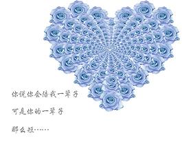 玫瑰圖片