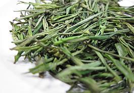 安吉白茶毛峰圖片