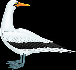鳥47