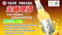 金威啤酒圖片