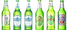 青島啤酒 酒瓶圖片