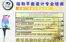 平面設計專業介紹圖片
