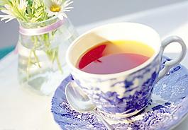 杯子圖片