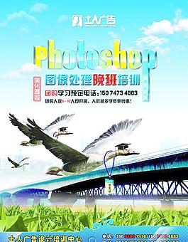 培训海报图片