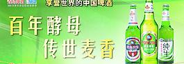 青島啤酒室內圖片