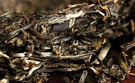 益心泉普洱茶丫口老寨圖片