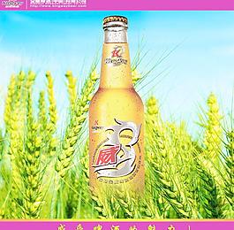 金威啤酒廣告圖片