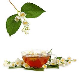 茶文化高清圖片
