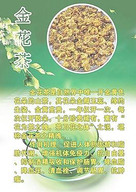 金花茶圖片