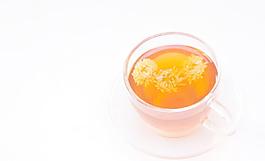 菊普茶圖片