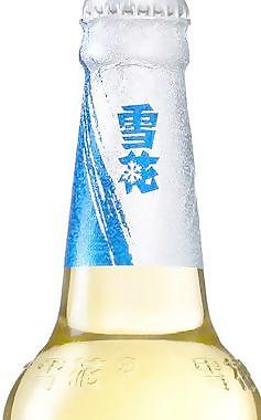 雪花啤酒勇闖天涯圖片
