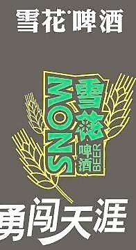 雪花啤酒勇闖天涯圖片