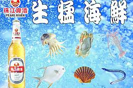 珠江啤酒生猛海鮮圖片
