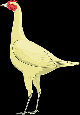鳥44